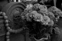 Photo by ryan coffman