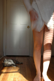 Photo Art by Sara Baicich